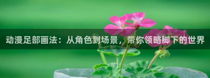 打开抖漫：动漫足部画法：从角色到场景，带你领略脚下的世界