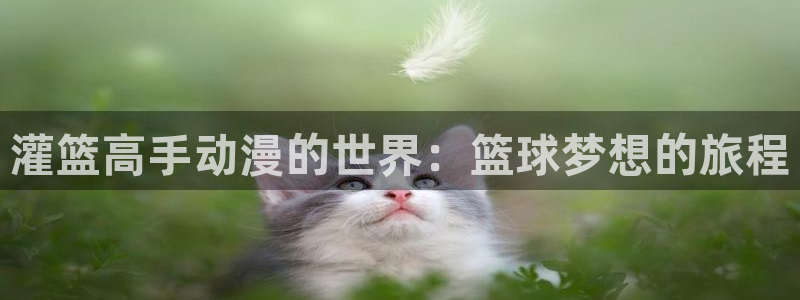 抖漫9.1：灌篮高手动漫的世界：篮球梦想的旅程