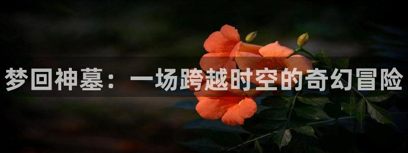 抖漫9.1：梦回神墓：一场跨越时空的奇幻冒险